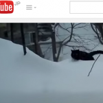 雪を完全無視して進軍するネコ